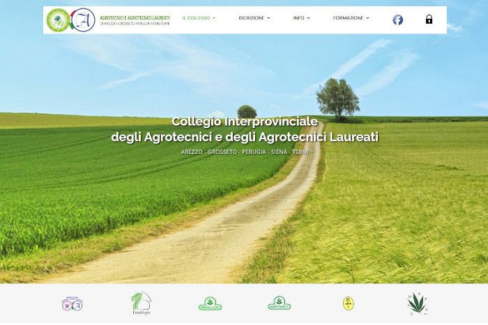 Screenshot della Homepage