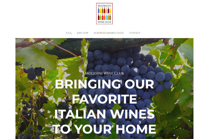 Screenshot della Homepage