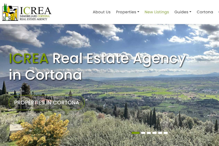 Screenshot della Homepage