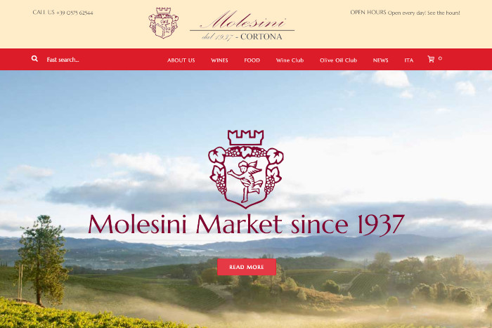 Screenshot della Homepage