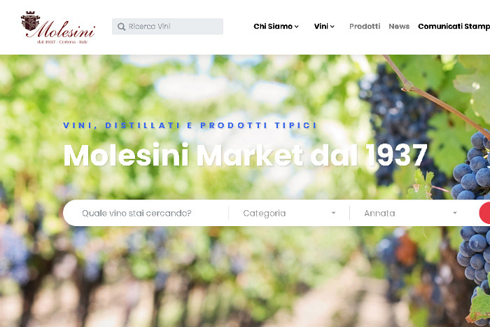 Screenshot della Homepage